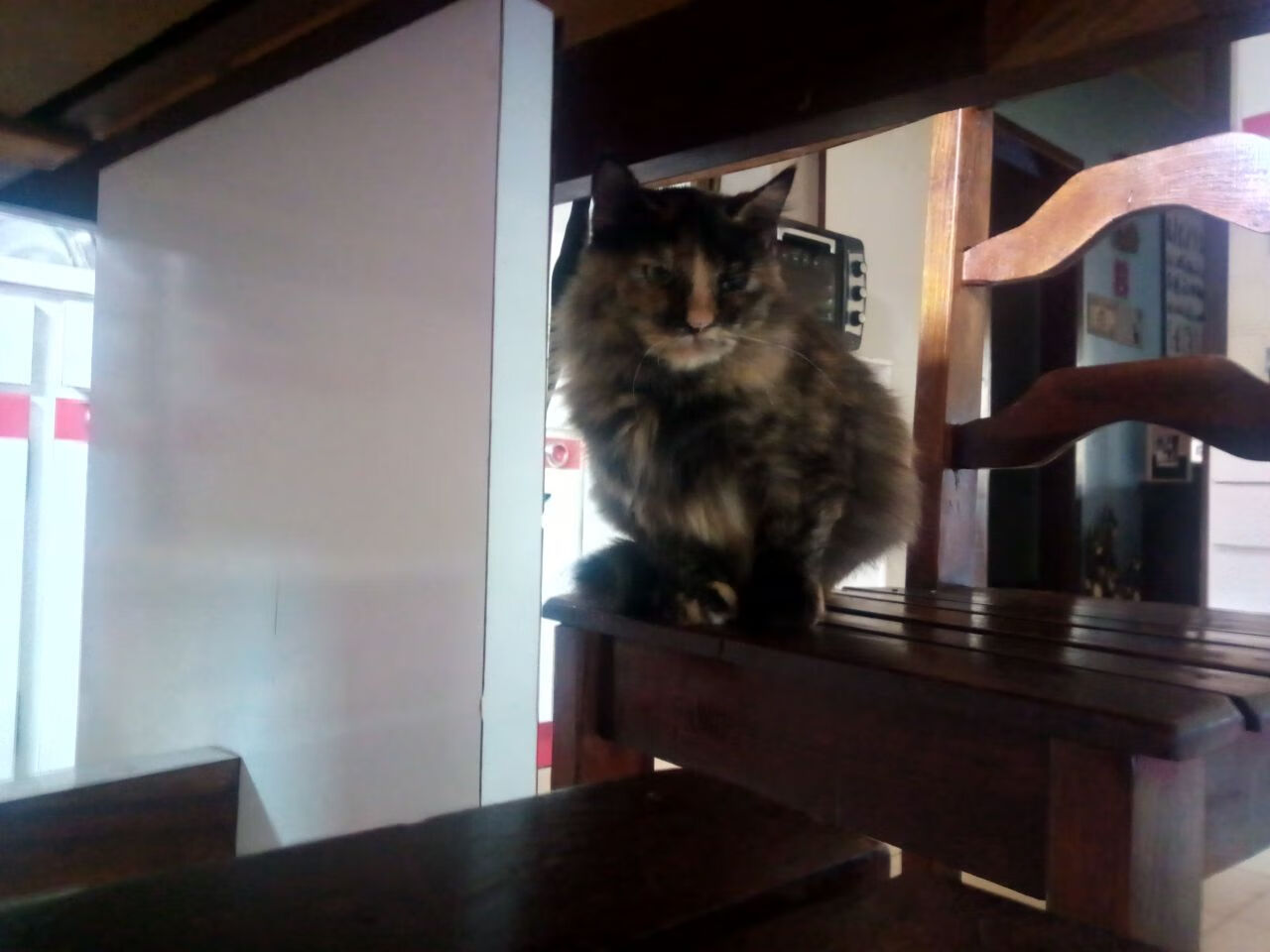 开云体育在线-铁壁与尖刀，门迪状态燃烧，法国战车碾压墨西哥