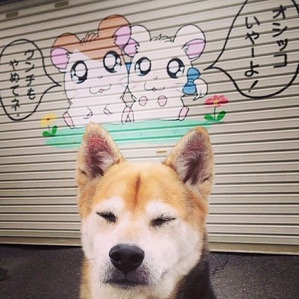 美加墨星空下的破茧时刻,福登一球羽化为蝶