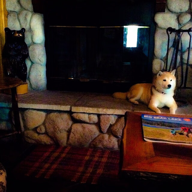 开云体育app-绝杀！瑞士补时逆转哥伦比亚，奥斯梅恩王冠上的明珠黯然失色