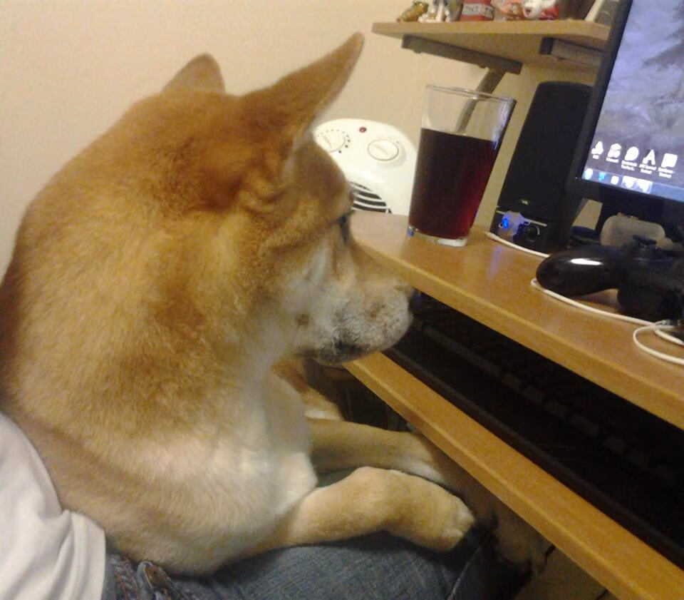 终场哨响,骑士用一场欧冠战术击溃金州城墙