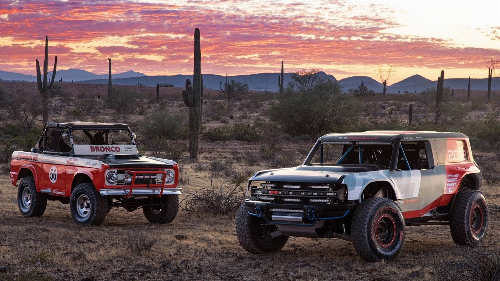 开云体育app-击败你的，恰是你亲手递出的刀，森林狼西决复仇猛龙之谜