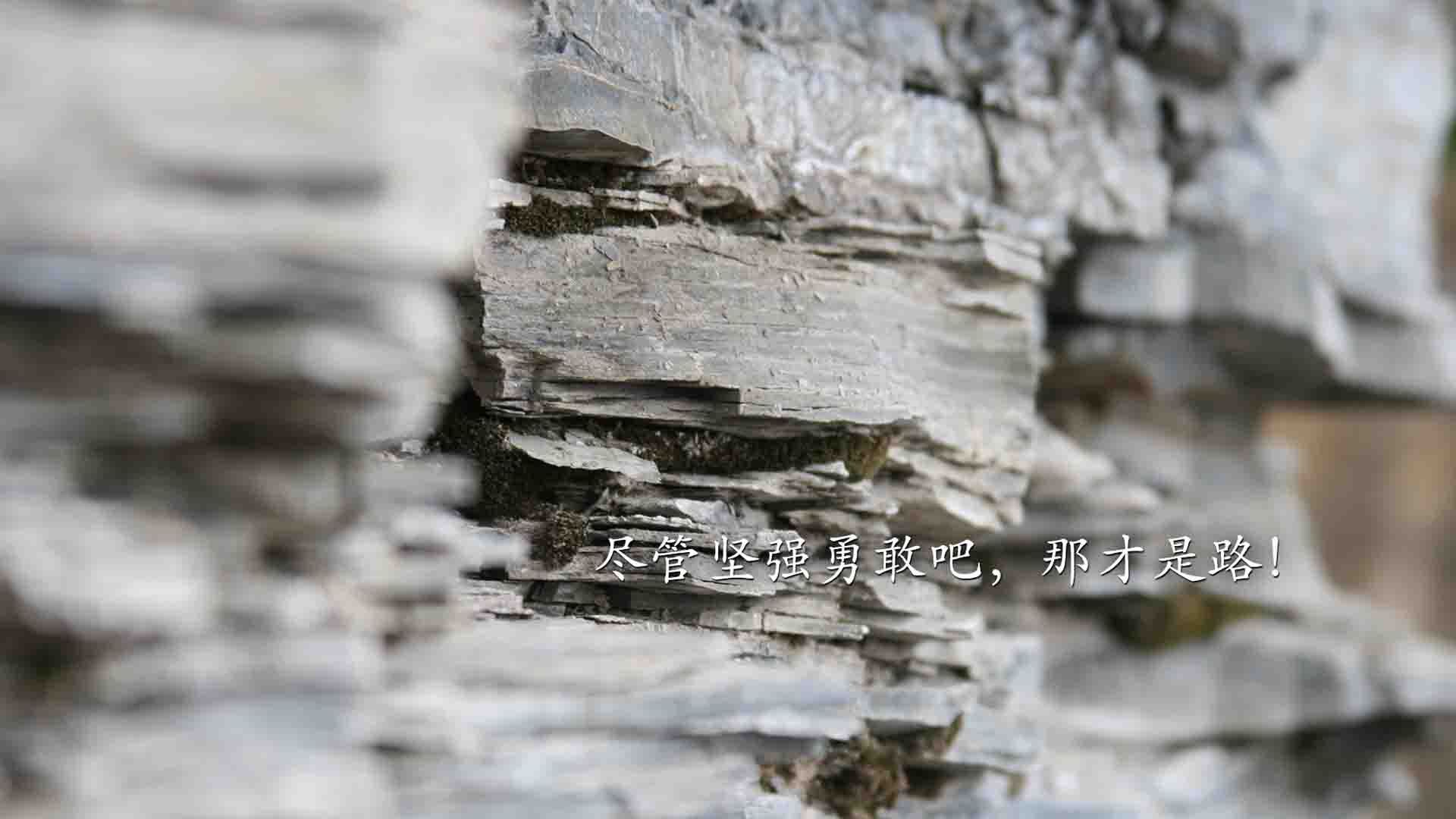 绝杀与独奏,当波兰撞开瑞士之门,赖斯用评分写诗