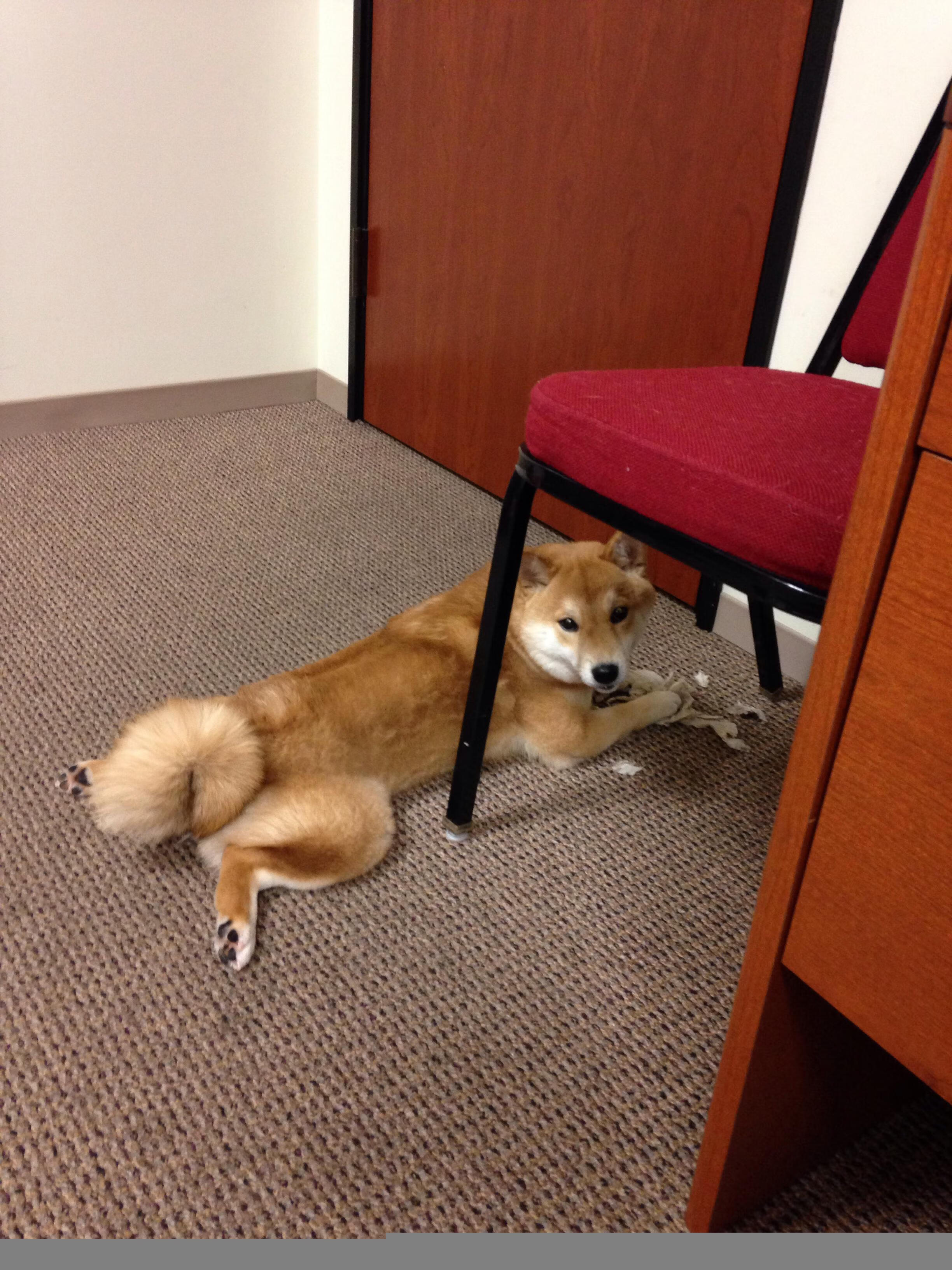 第四节的神迹，当老迈的保罗接管了比赛时钟